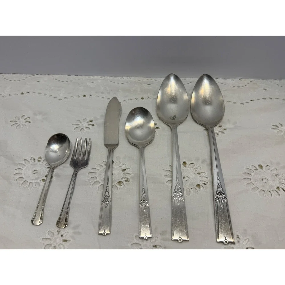 Vintage Silver Plated Flatware Set 36pc Floral Pattern Naken Tarnish Proof Chest